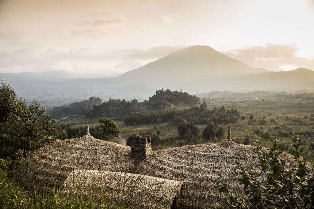 Voyage au Rwanda près des gorilles : souvenirs de notre Travel designer
