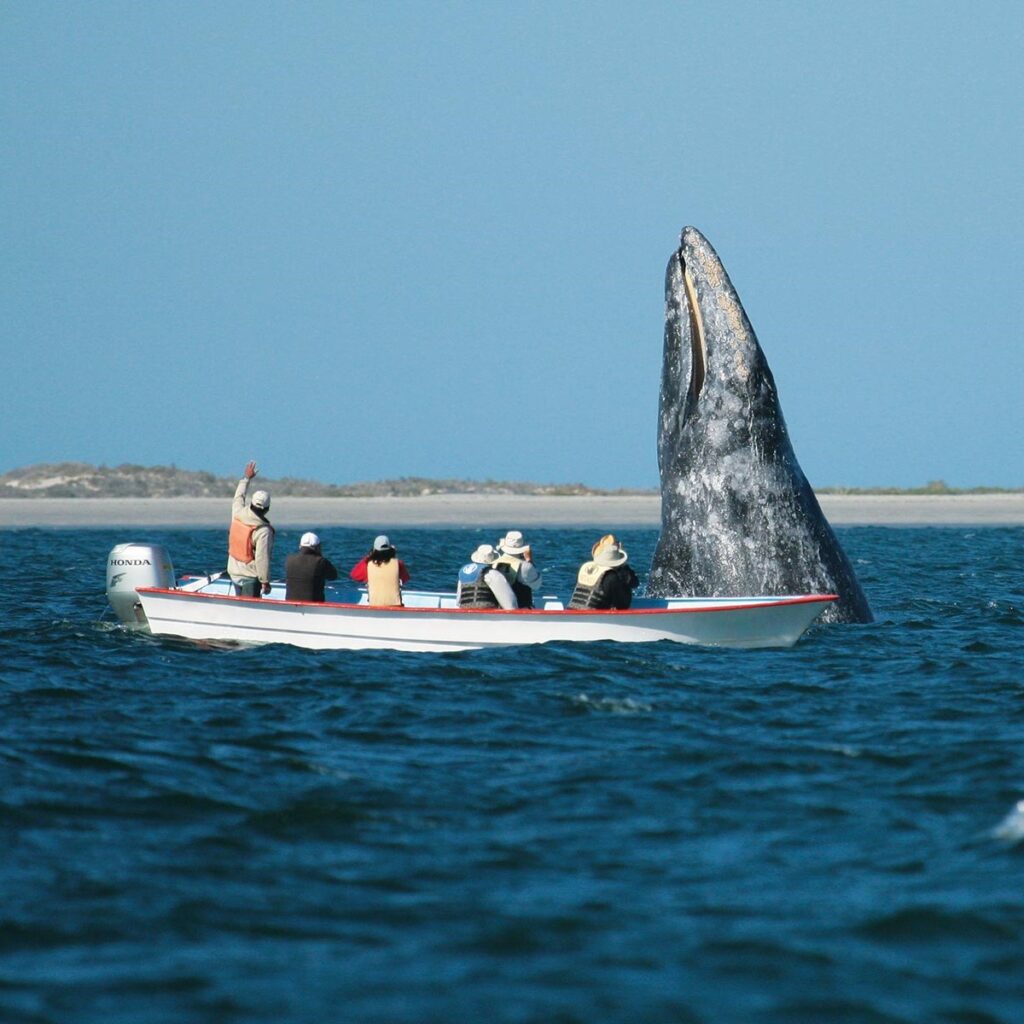 Mexique, quatre visages d’un pays vibrant