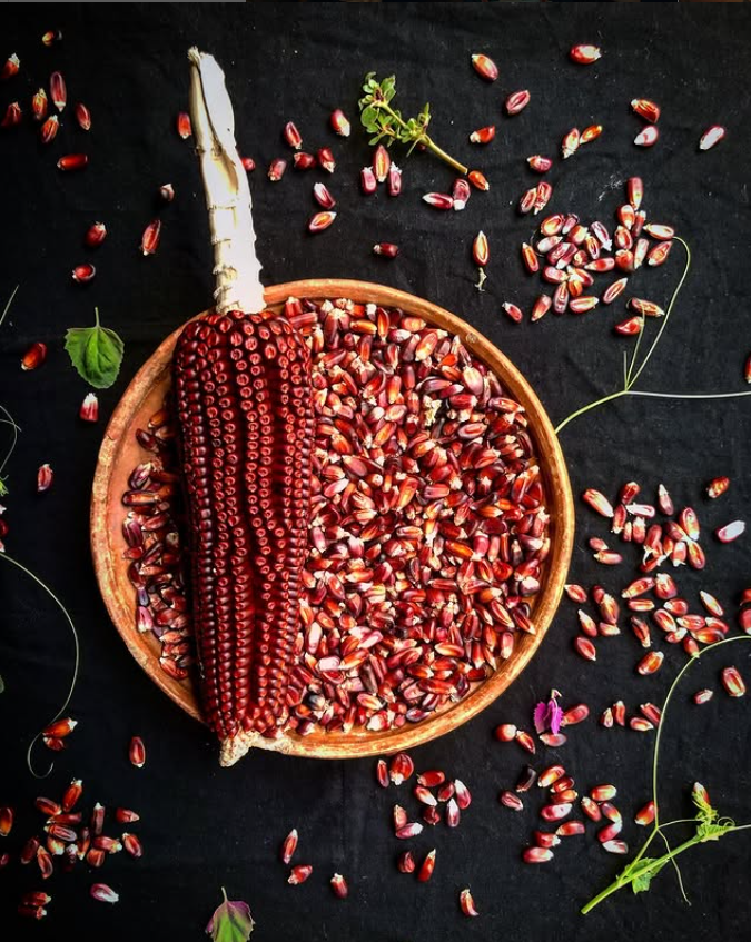 continentsinso-68f39cc8daeea-Capture d'écran 2025-10-18 155635