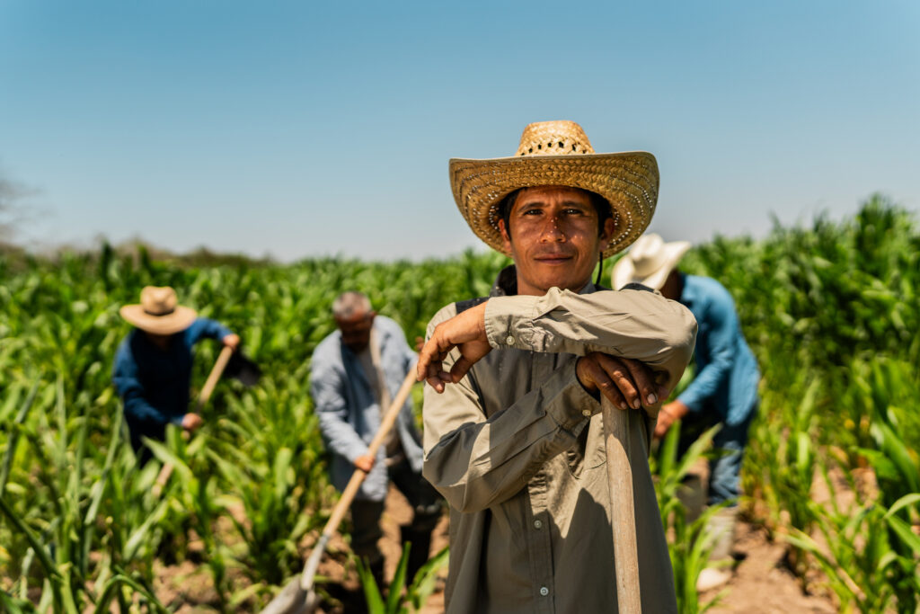 Mexique, quatre visages d’un pays vibrant