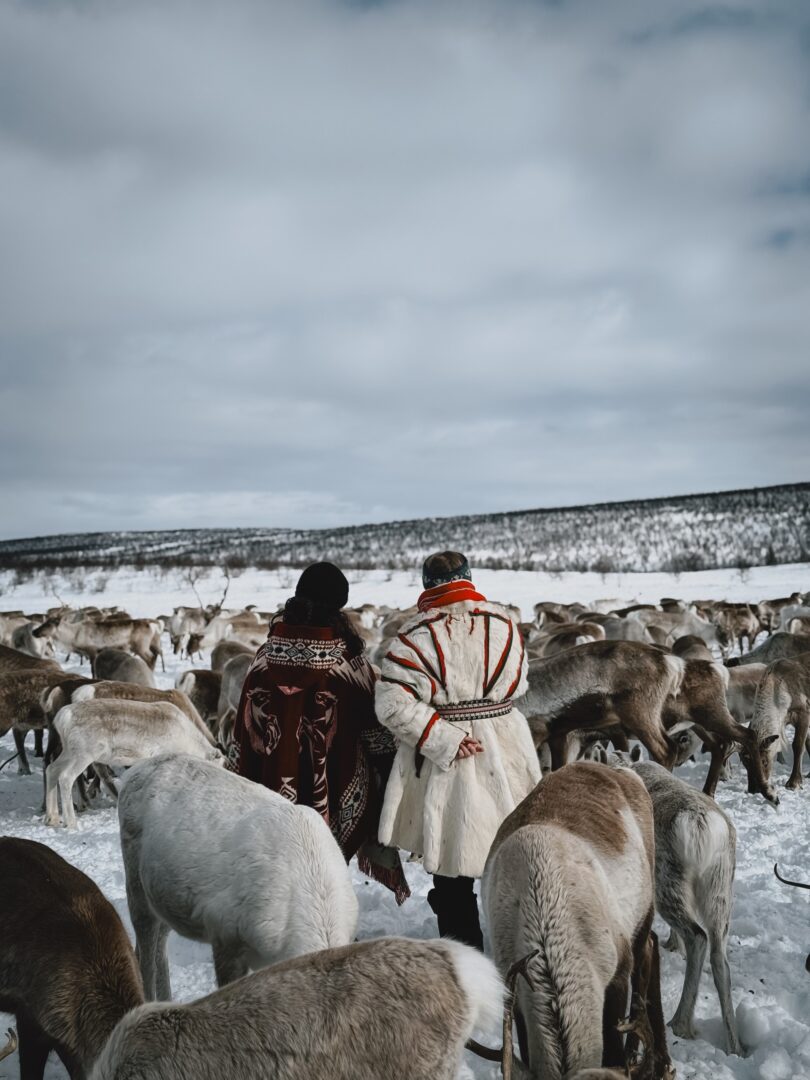 Rencontre avec les Samis en Laponie lors d'un voyage sur-mesure avec Continents Insolites