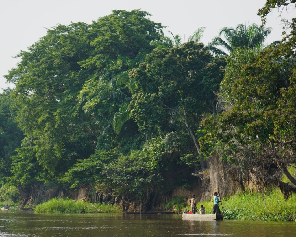Croisière au Congo : explorer un des derniers mondes sauvages