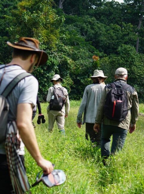 Nos experts en République du Congo