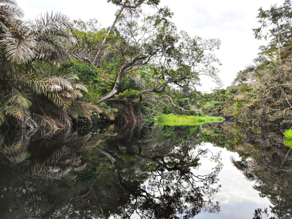 Croisière au Congo : explorer un des derniers mondes sauvages
