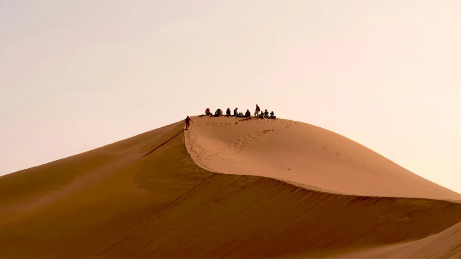 Comment organiser une Learning Expedition qui ait un véritable impact ?