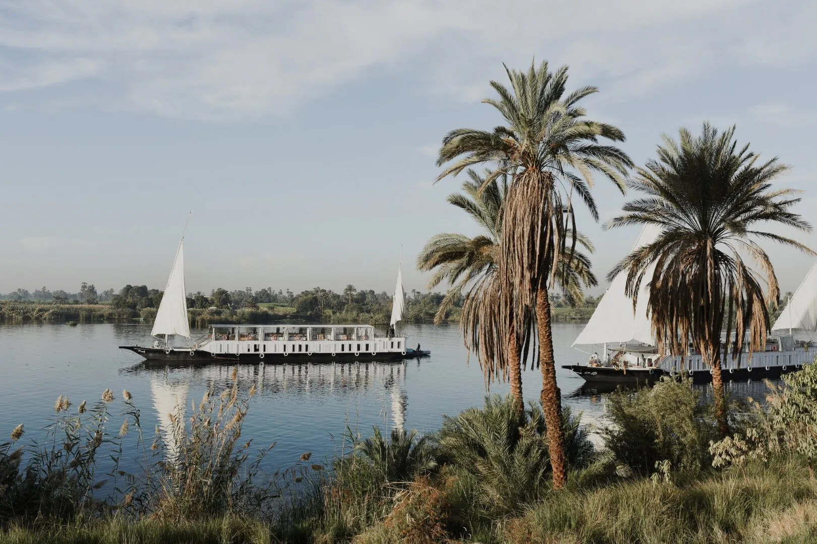 continentsinso-69e252f96d078-485731655_1236776228453836_5083453127562922527_n