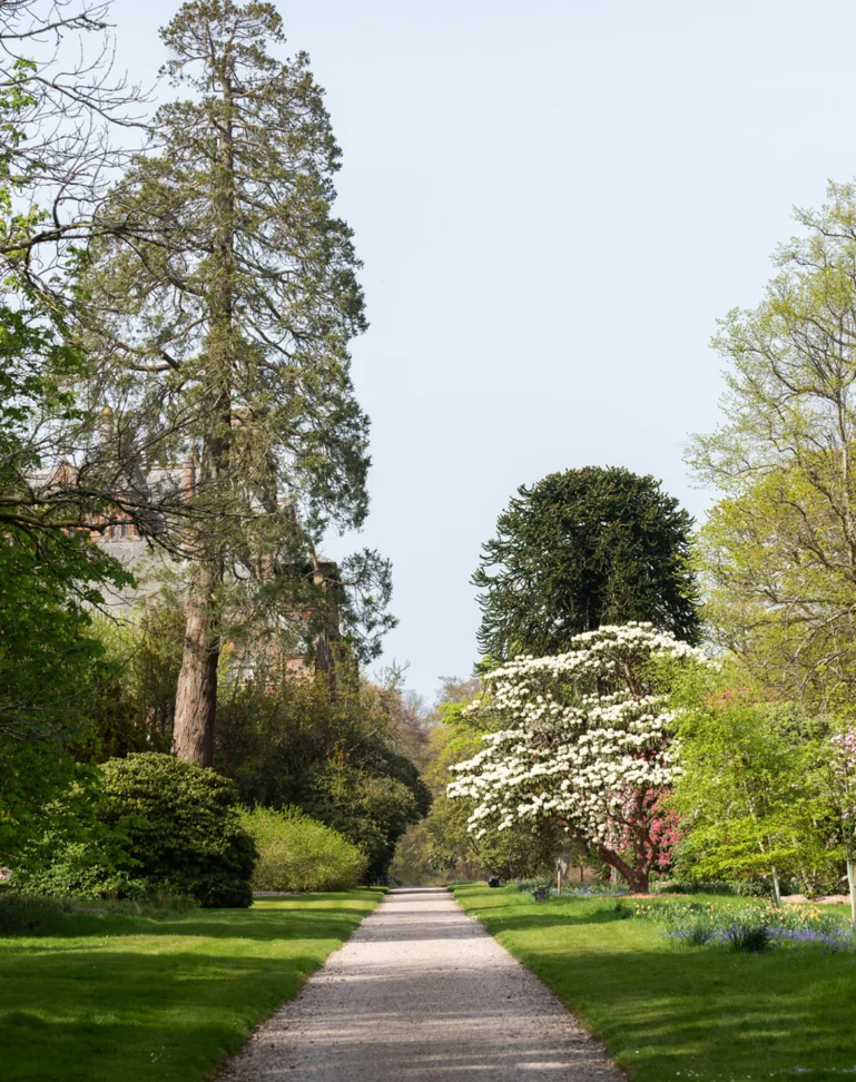 Île de Bute : Fantaisies victoriennes et jardins cachés