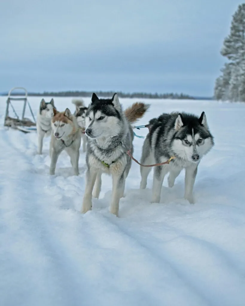 Vacances d’hiver : 10 destinations à explorer en famille