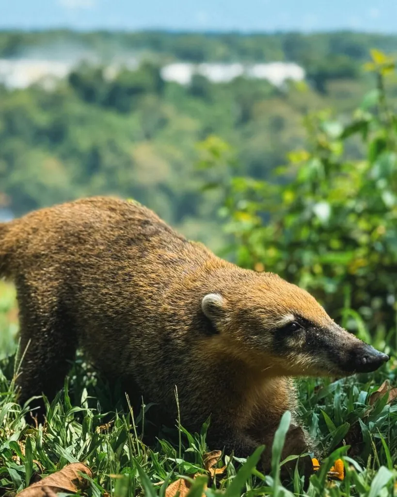 Vacances d’hiver : 10 destinations à explorer en famille