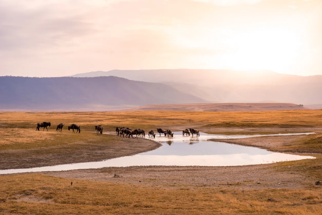 Ngorongoro en Tanzanie