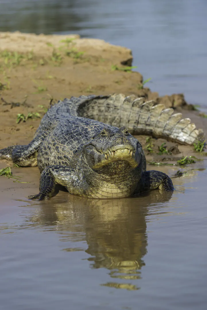 Atins - Parnaíba : Aventure au fil du delta