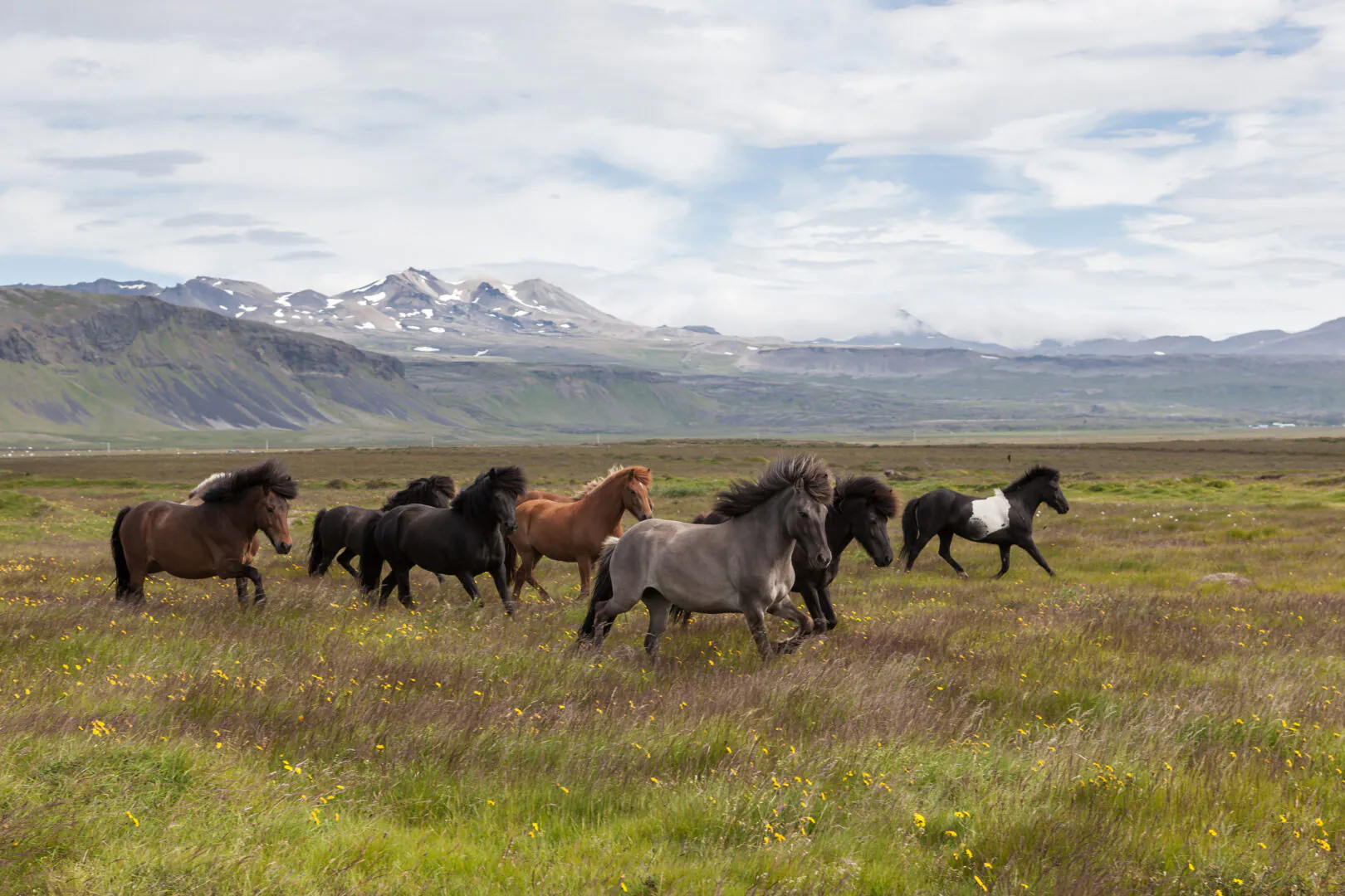 Région des fjords, Islande
