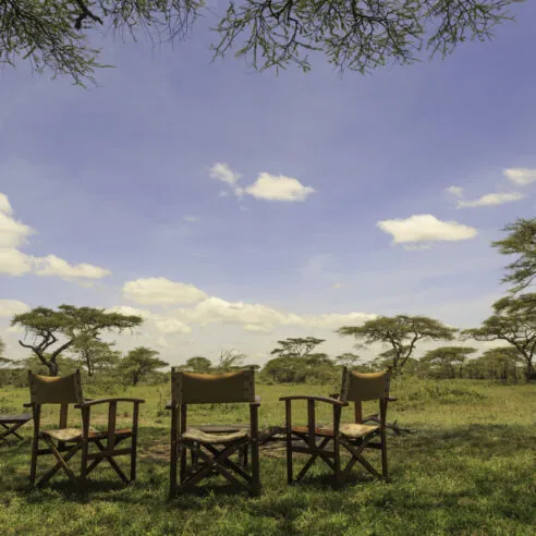 Afrique
