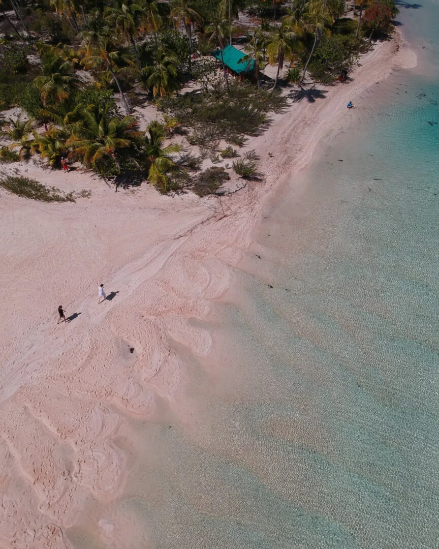 Tikehau : l’élégance d’un atoll aux plages roses