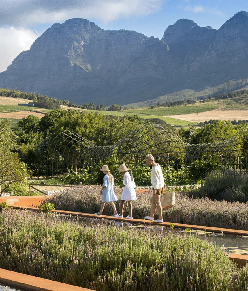 Winelands : Entre vignes sculptées et demeures historiques