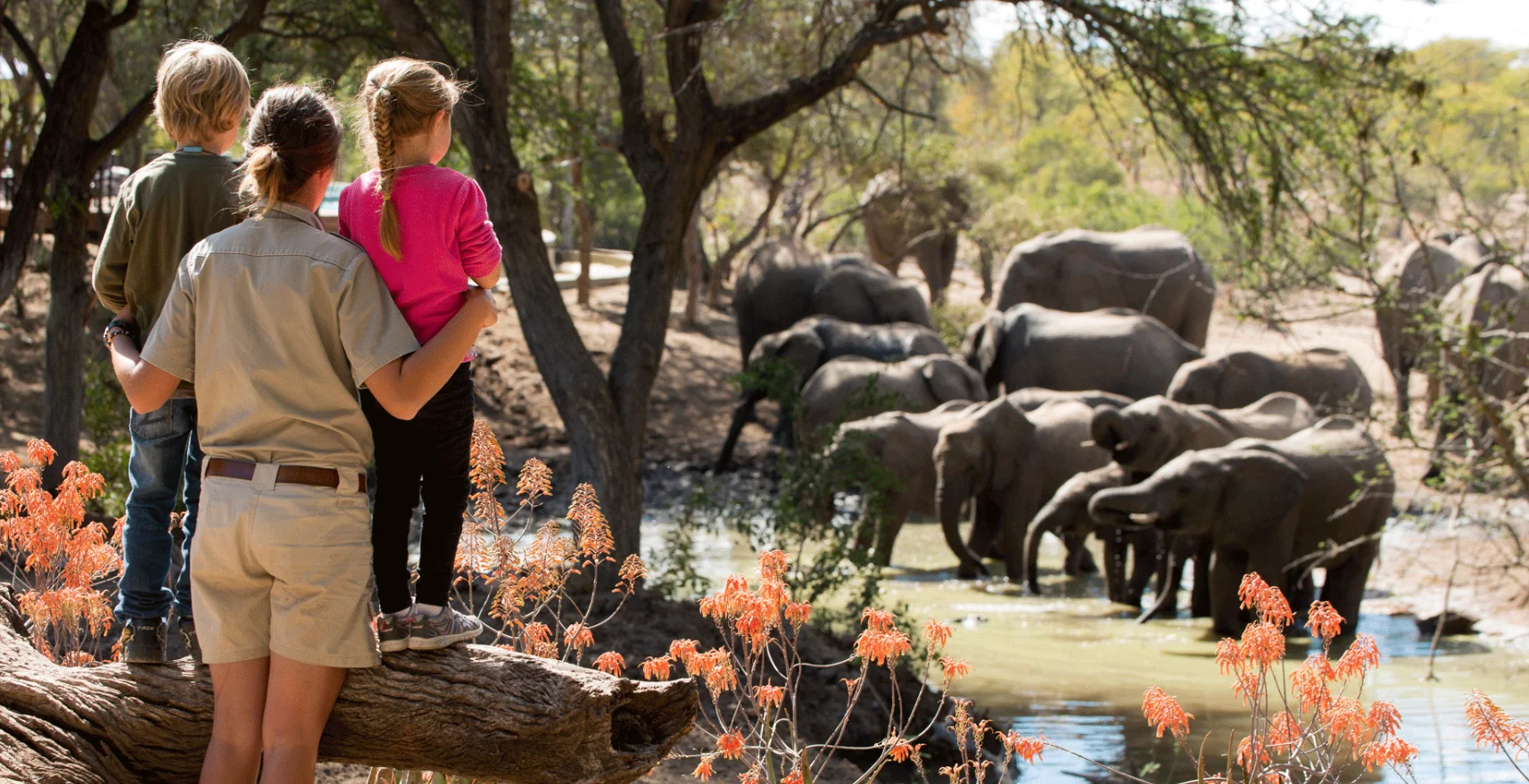 afrique du sud - enfants safari