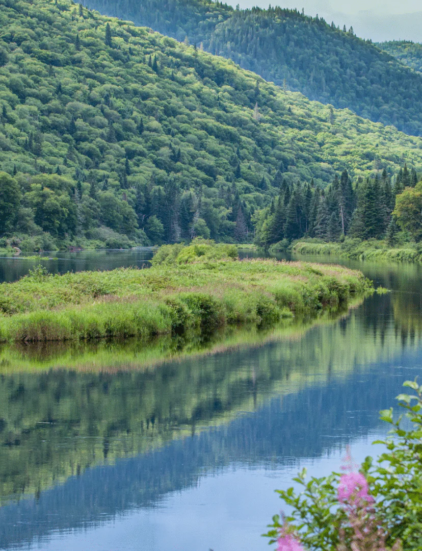 Randonnée dans le parc national de la Jacques-Cartier