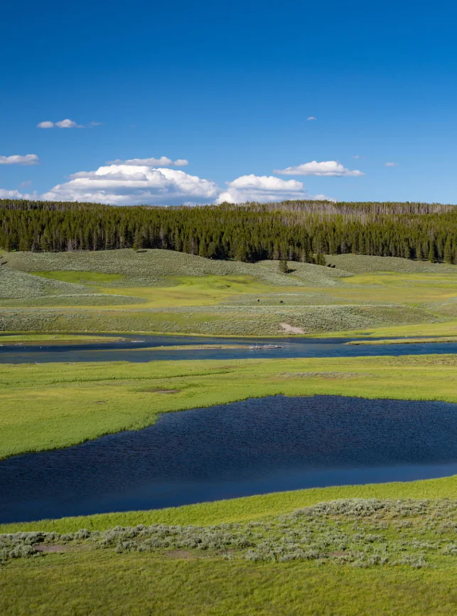 Lamar Valley et Beartooth Mountains