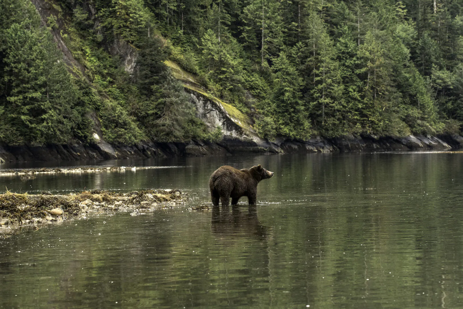 Des Rocheuses à Vancouver Island