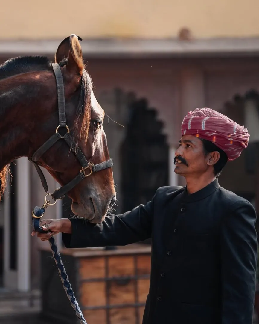 Avec les chevaux des Maharajas