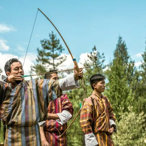 Observation des grues à cols noirs