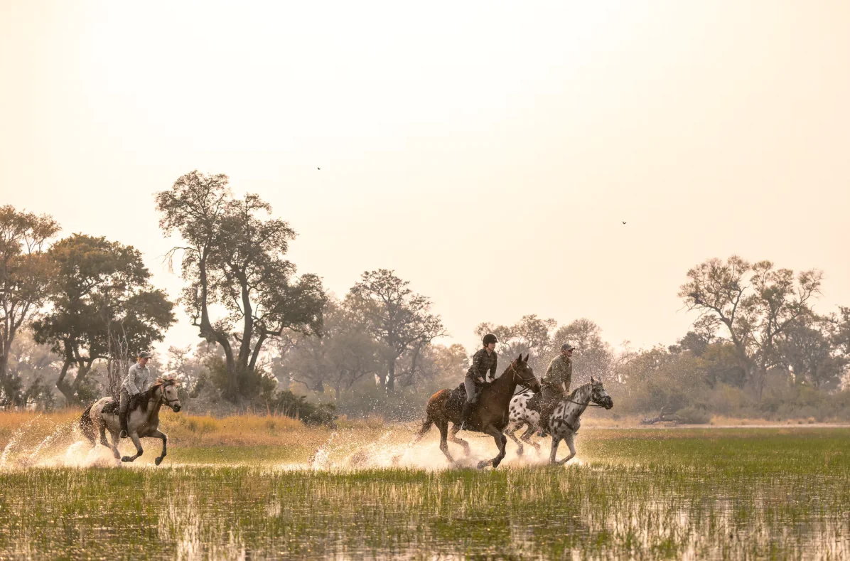 À cheval dans le Delta