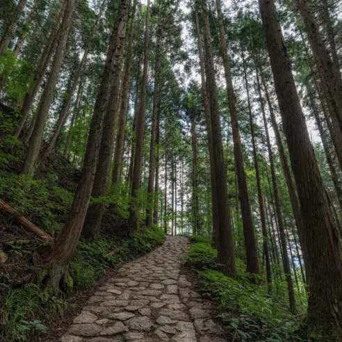Voyages nature