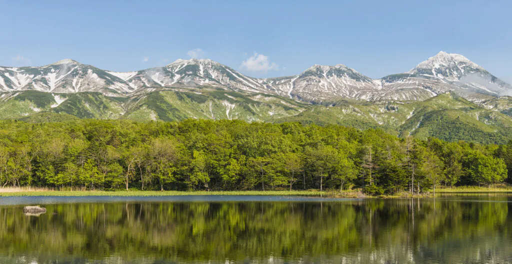 Voyager au Japon en été : climat, festivals et régions où aller