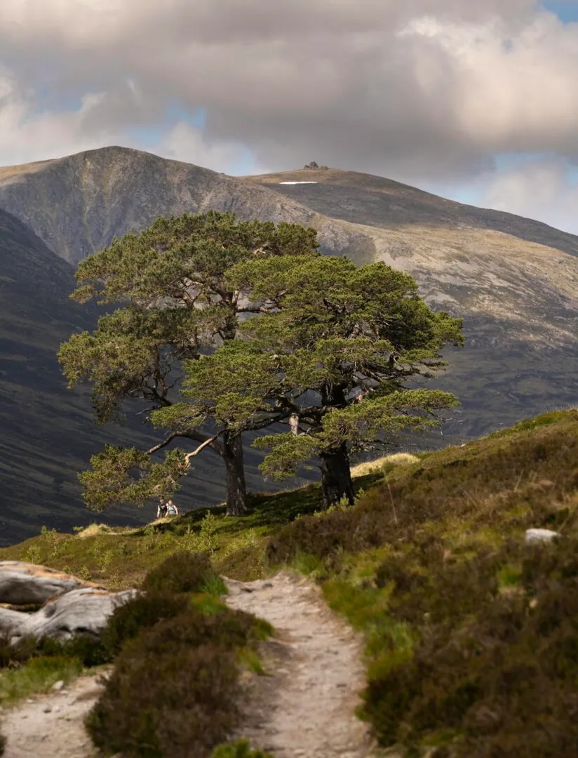 Île de Harris et Lewis – Perthshire : Traversée des Highlands