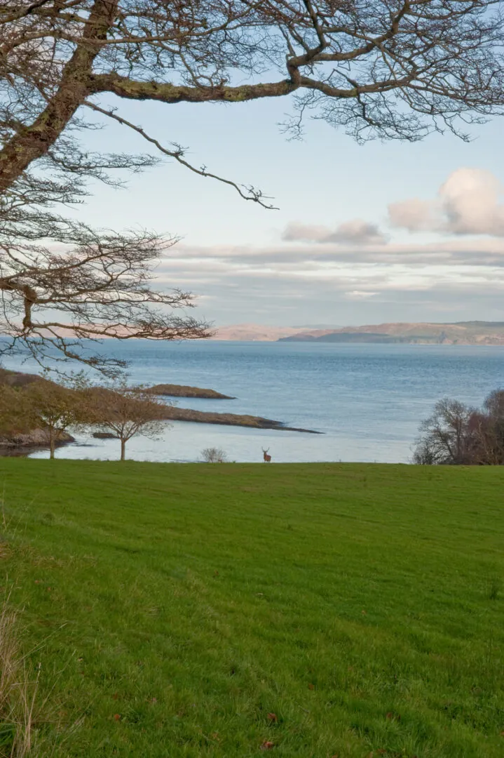 Île de Jura : Sauvage et inspirante