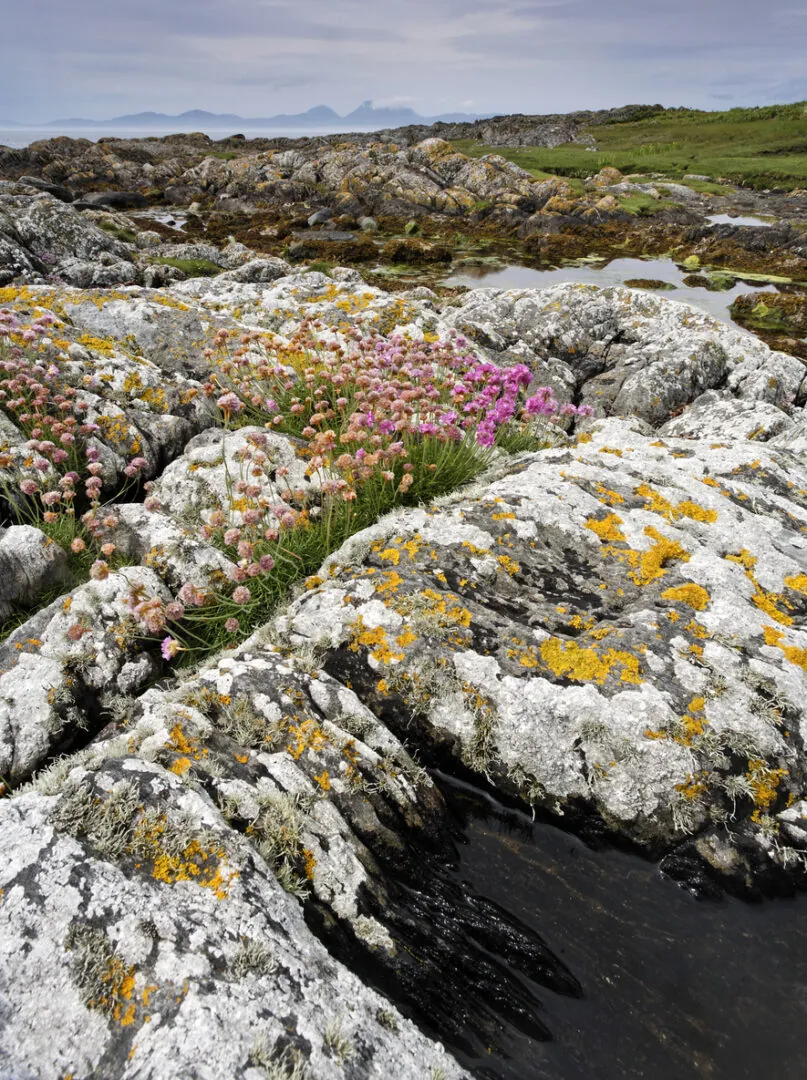 Île de Jura : Faune, histoire et saveurs locales