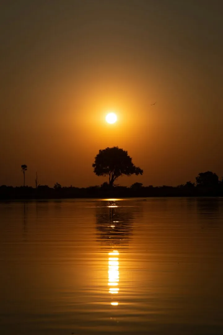 Victoria Falls – Zambèze : au fil de l’eau