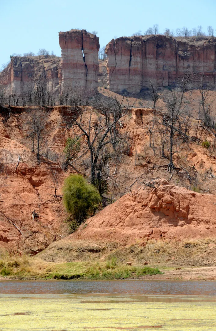 Mutare – Parc National de Gonarezhou : Vers les terres indomptées