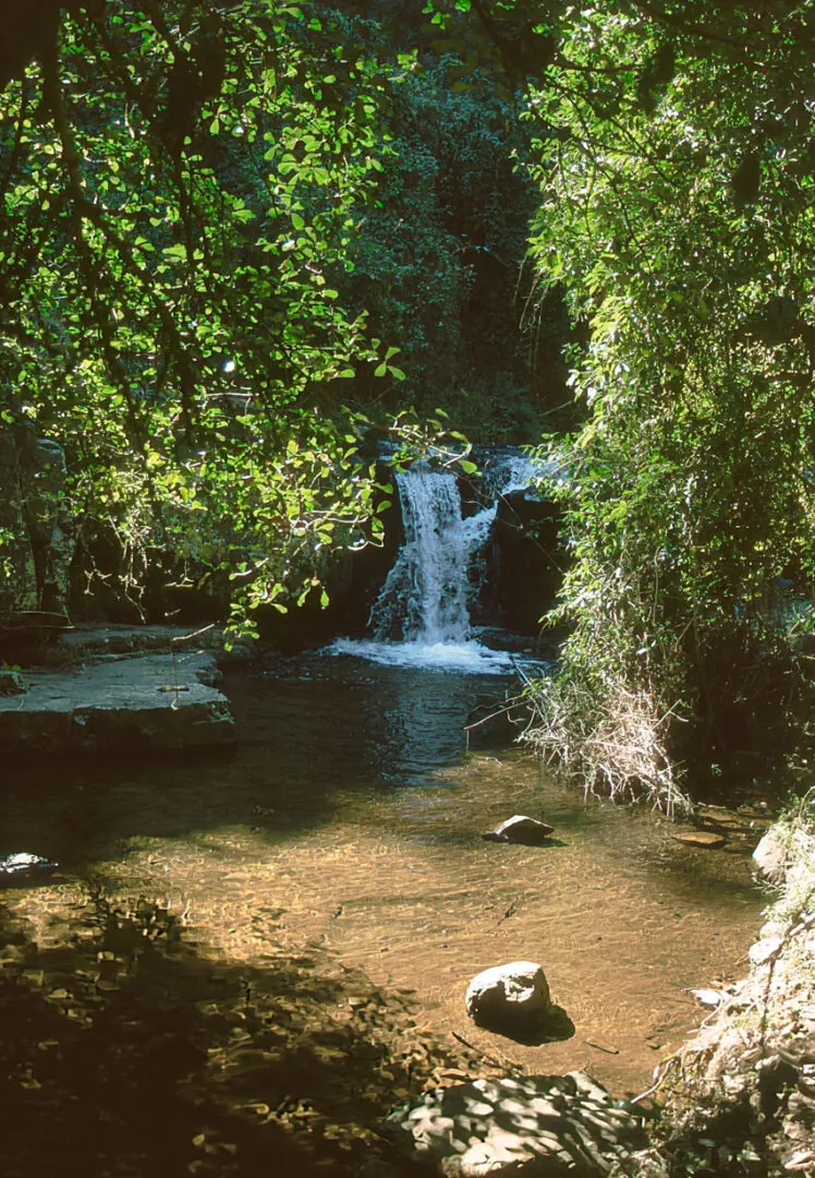 Harare – Mutare : Douceur des hauts plateaux