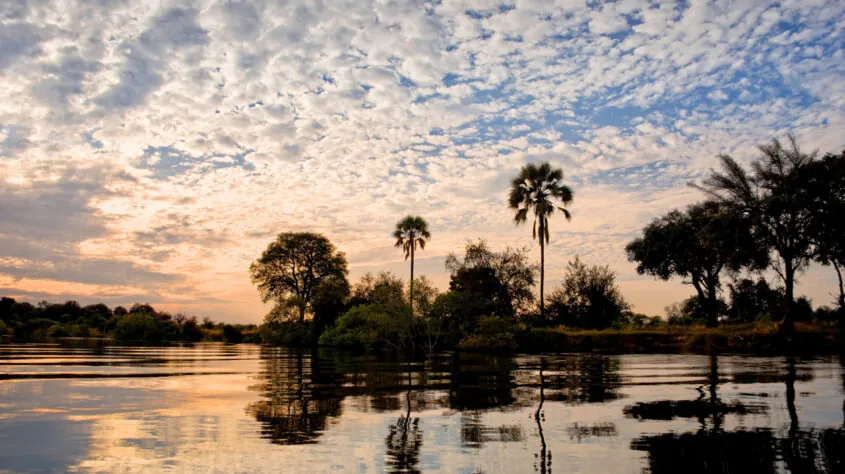 Afrique