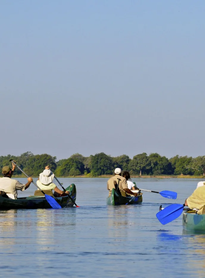Immersion sauvage en canoë