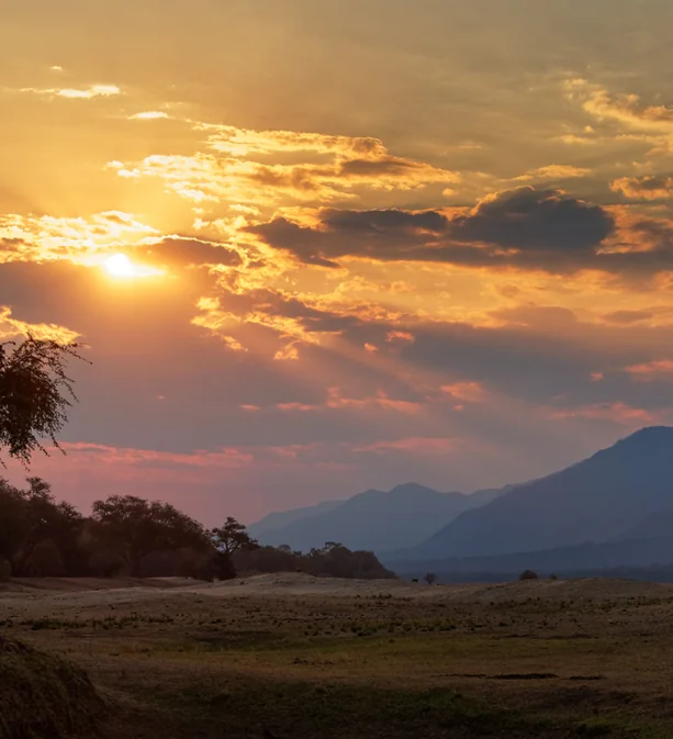 Mana Pools : Marcher, voir, ressentir