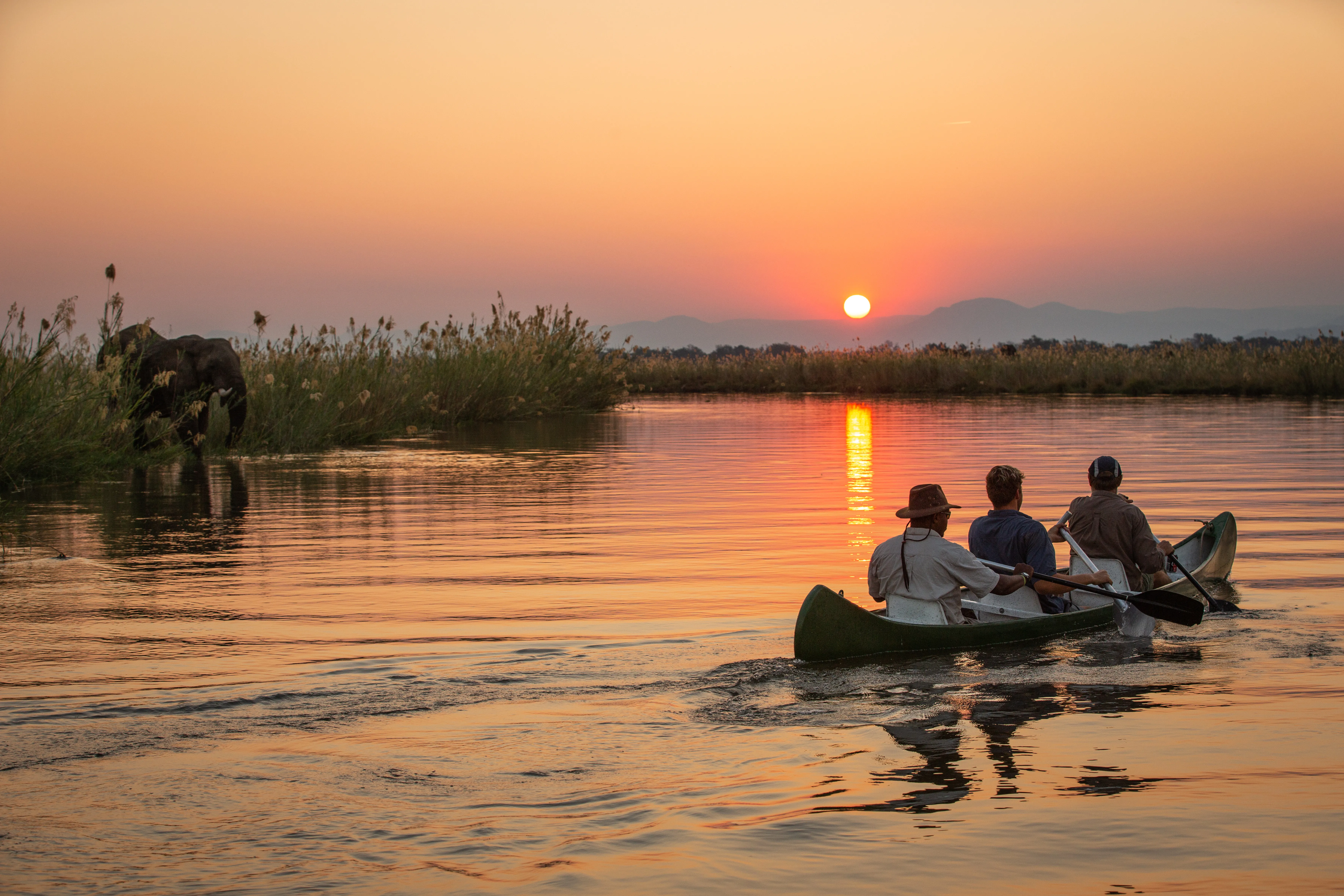La faune et la flore se trouvent dans la réserve privée de Sapi, d'une superficie de 128 000 hectares, à l'est du parc national de Mana Pools au Zimbabwe.