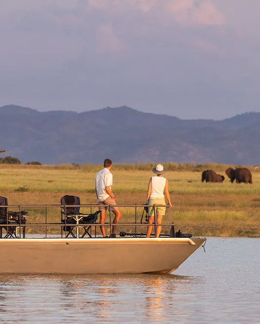 Safaris aquatiques et horizons d'eau