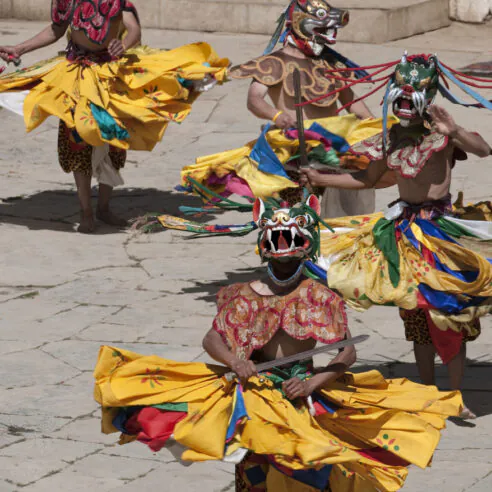 Observation des grues à cols noirs