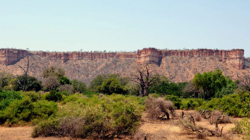 Zimbabwe