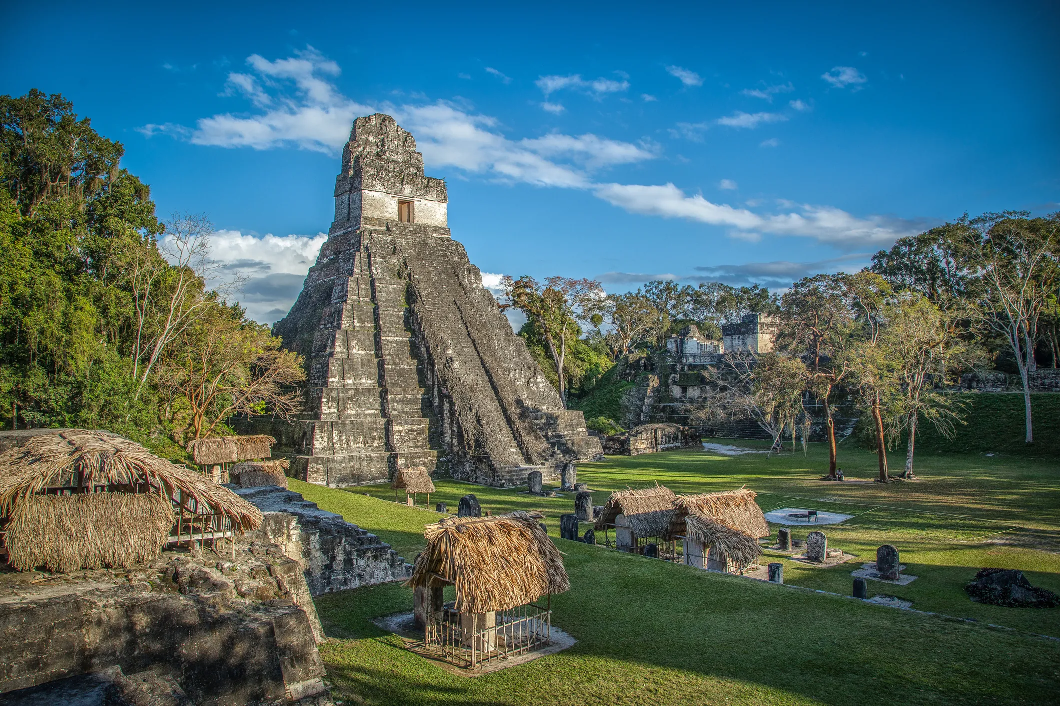 La pyramide maya de Tikal se trouve au Guatemala, au cœur de la jungle du pétén, dans l’un des sites archéologiques les plus emblématiques de la civilisation maya.