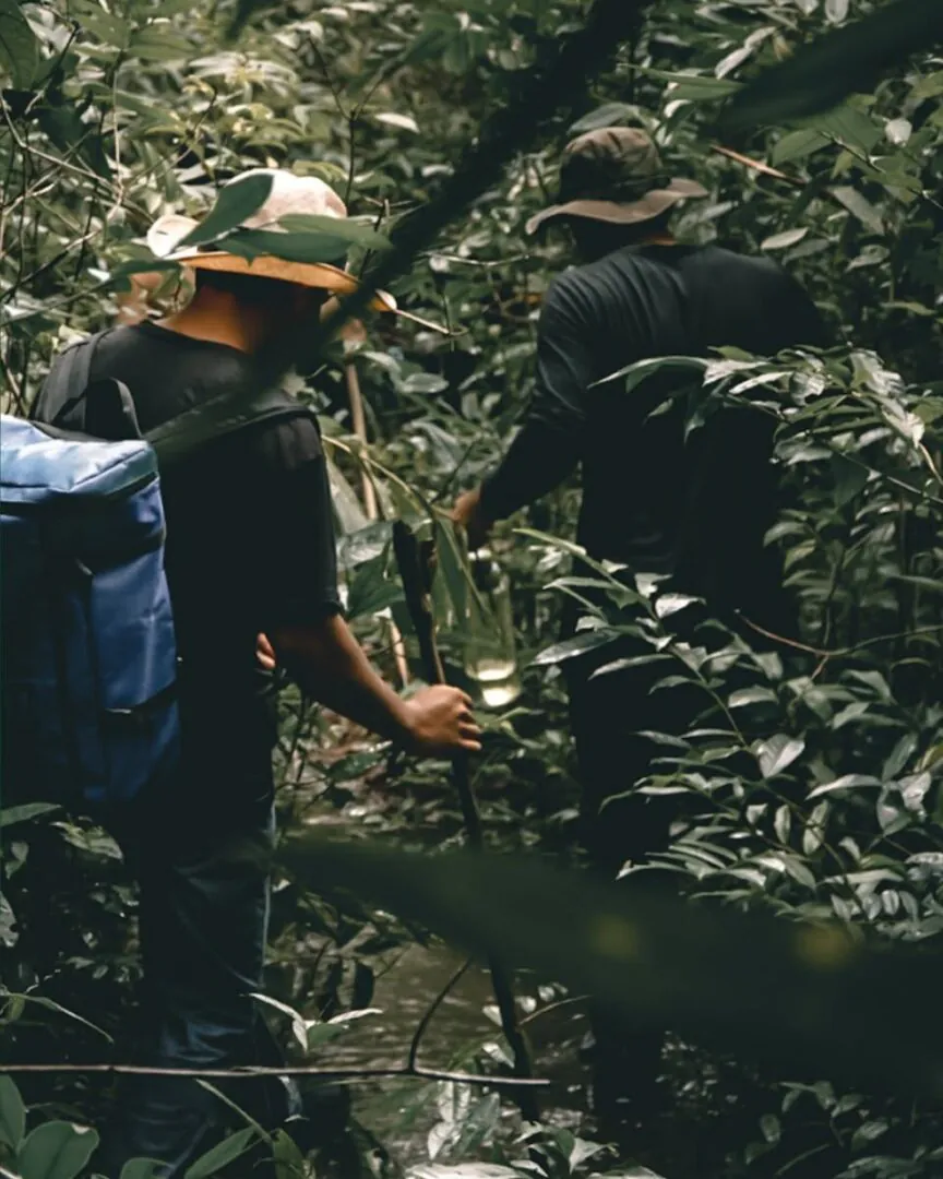 Cardamomes - Sur les traces des rangers