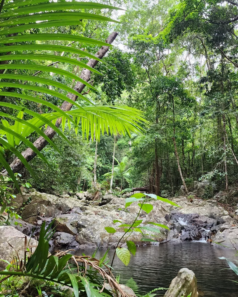 Cooktown : Escale historique et nature tropicale