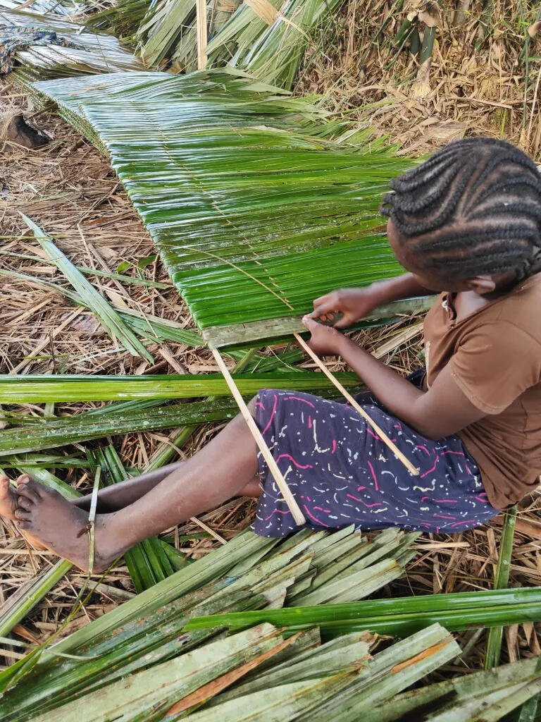 Croisière au Congo : explorer un des derniers mondes sauvages