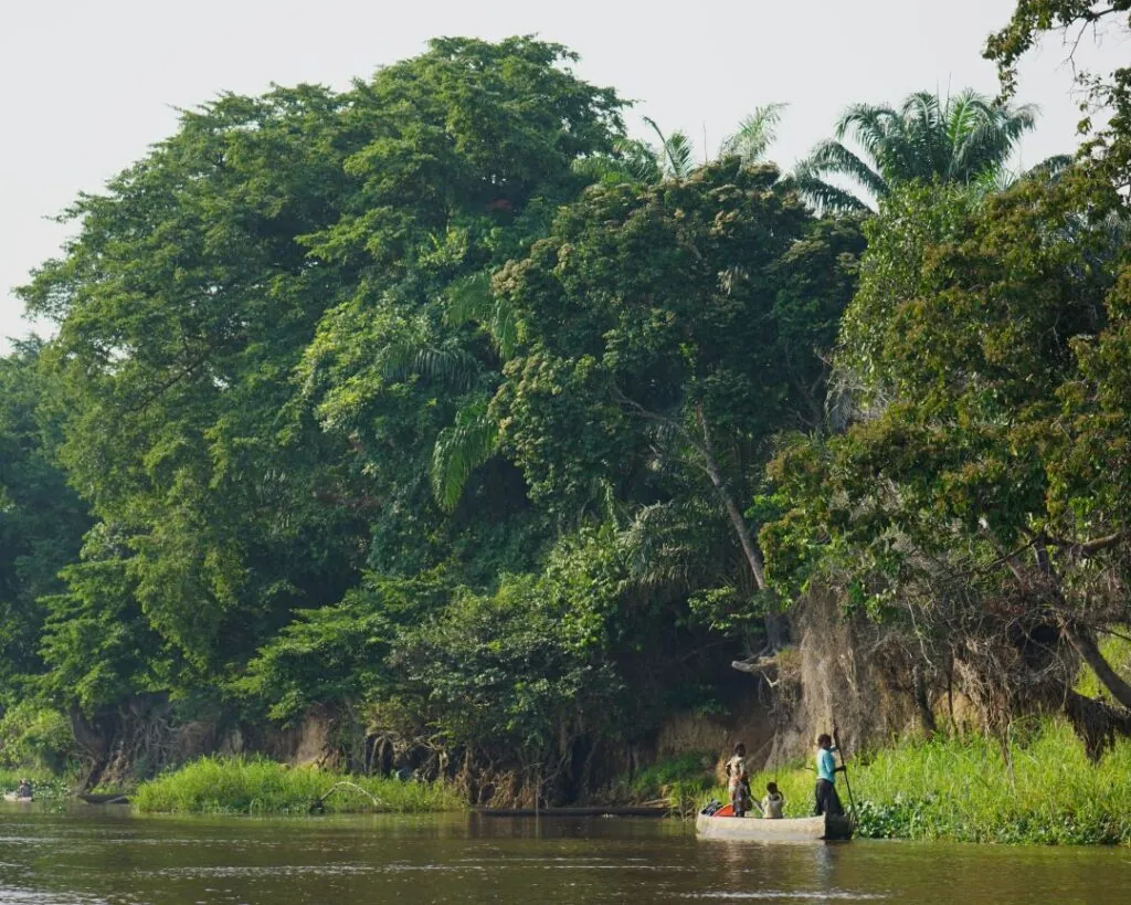 Croisière au Congo : explorer un des derniers mondes sauvages