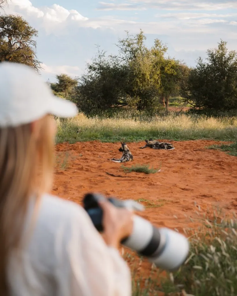 Cinq rencontres rares pour un safari d’exception