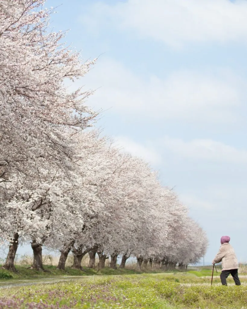 Hokkaidō : le Nord du Japon autrement