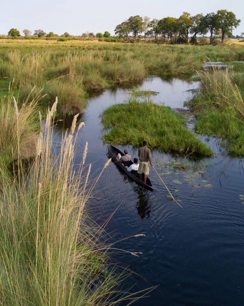 Quand partir en safari