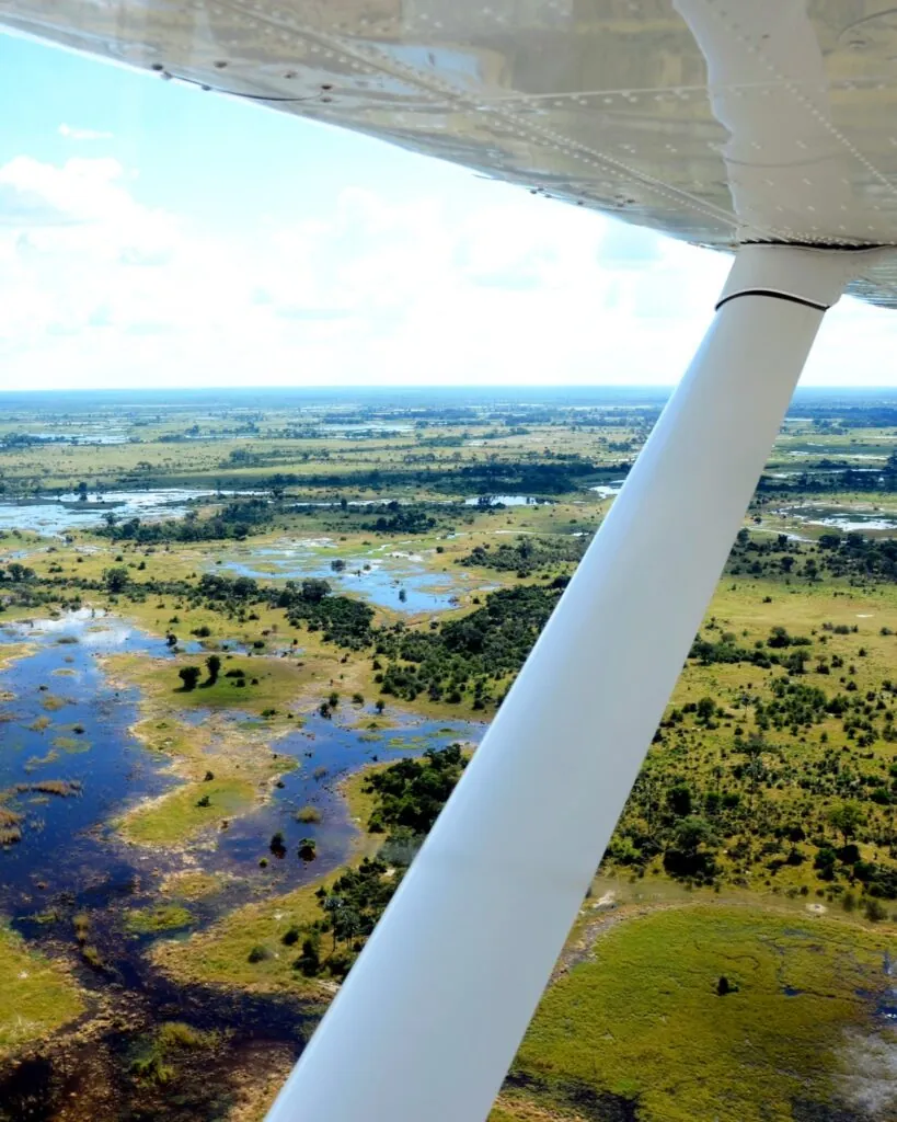 Quand partir en safari